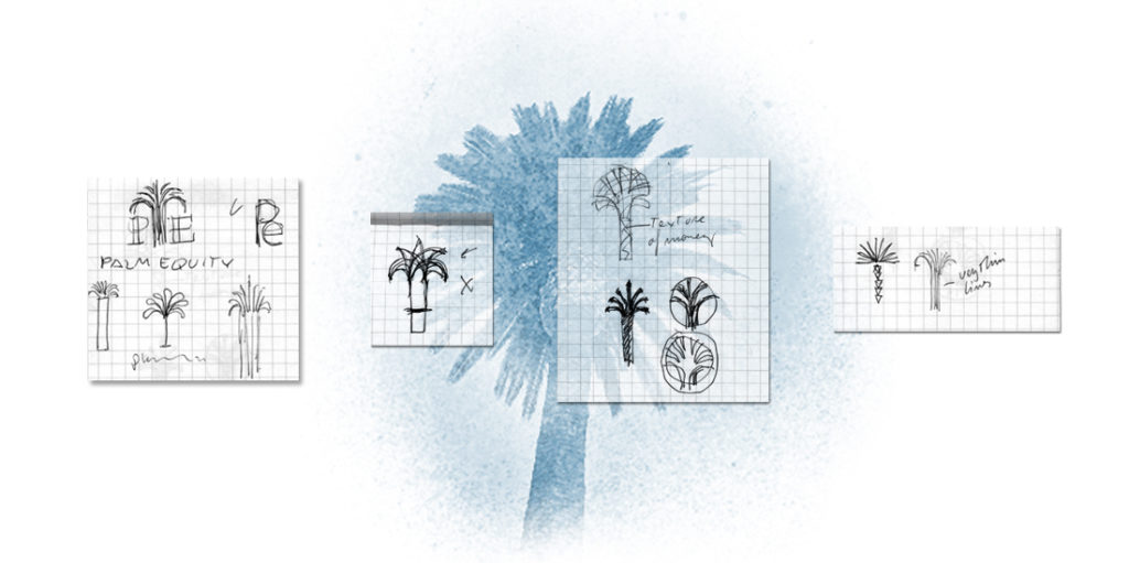 Palm Equity logo exploration