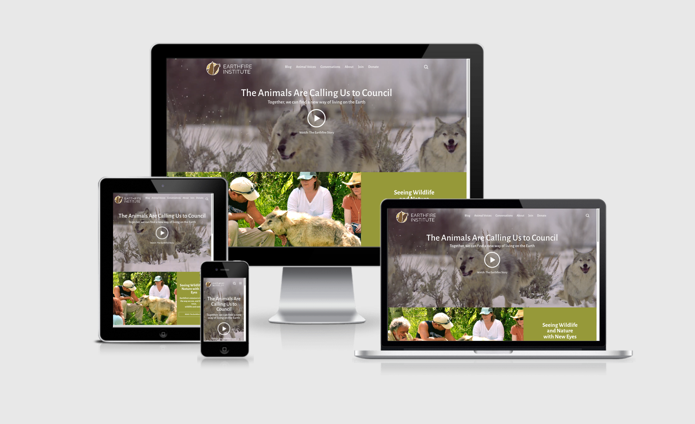 Earthfire Institute responsive website design