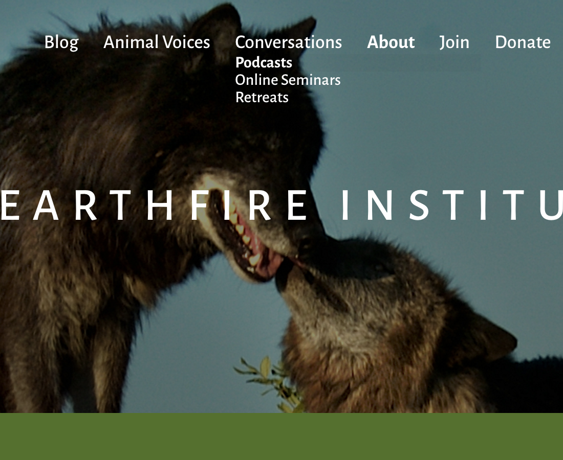 Earthfire Institute
