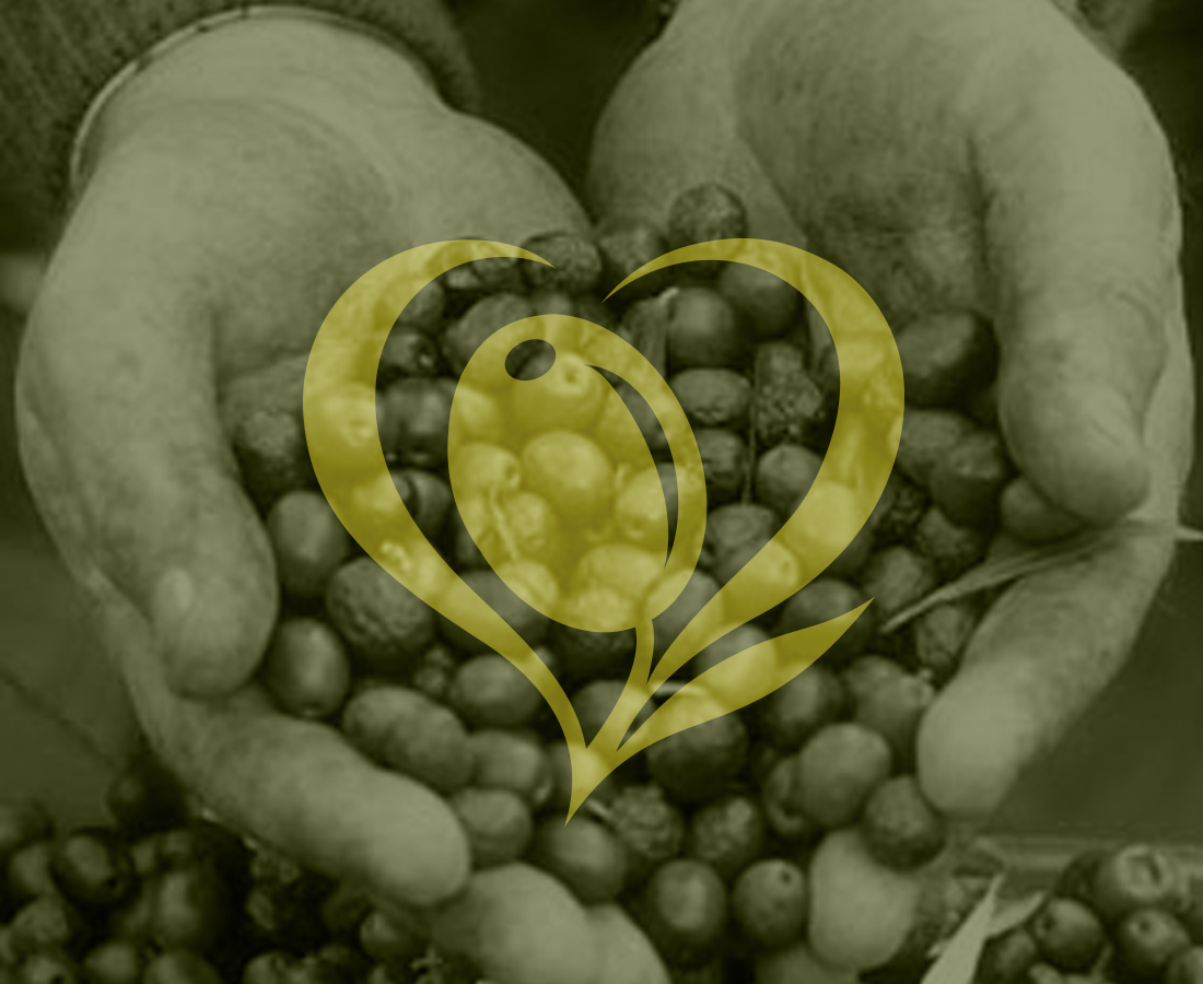 North American Olive Oil Association