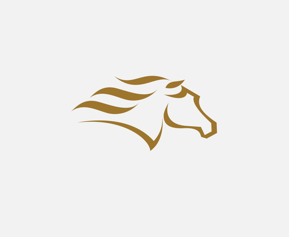 Opción Investment Strategy brand logo mark