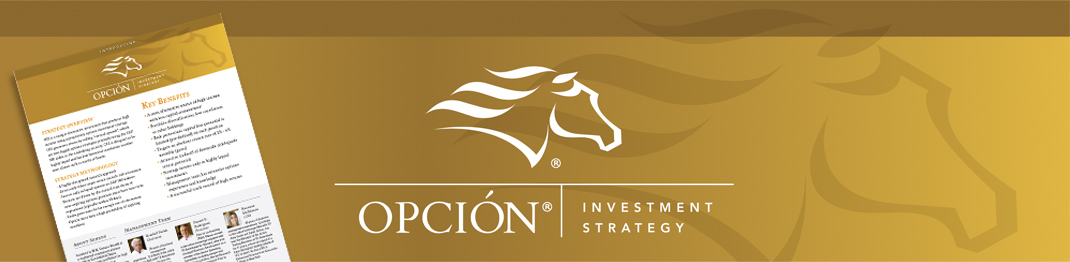 Opción Investment Strategy branded header for collateral materials