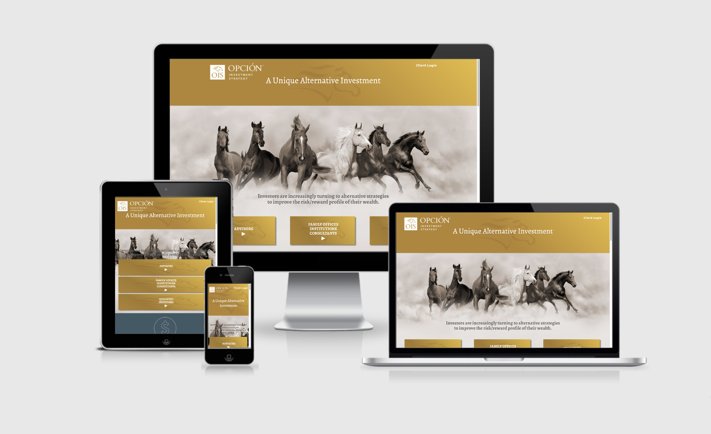 Opción Investment Strategy branded website design and development