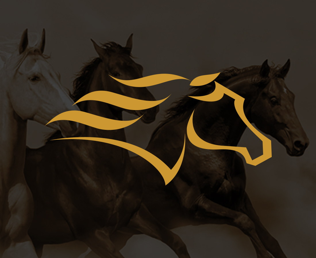 Opción Investment Strategy