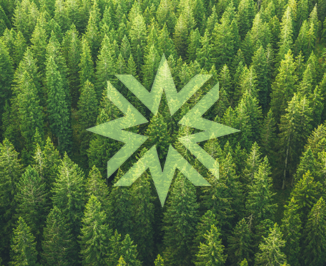 BrightWorld ESG